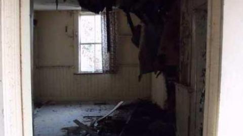 diamond in the bush - Horseshoe-Hill-Road-near-Star41.jpg