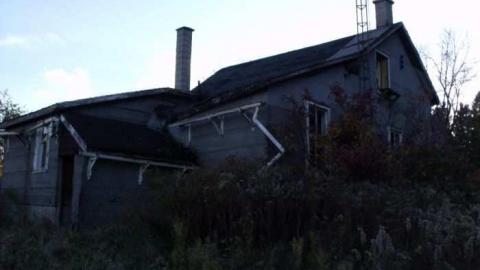 diamond in the bush - Horseshoe-Hill-Road-near-Star43.jpg