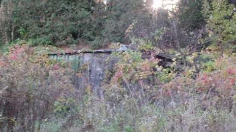 diamond in the bush - Horseshoe-Hill-Road-near-Star62.jpg