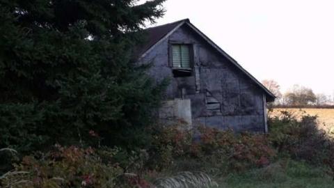 Photo from diamond in the bush