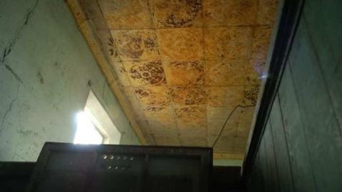 Dashwood School - Old-Dashwood-area-School25.jpg