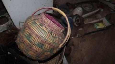 Oct. 2012 - Townline-Farm28.jpg