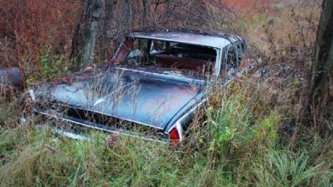 Oct. 2012 - Townline-Farm37.jpg