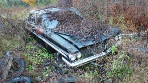 Oct. 2012 - Townline-Farm38.jpg