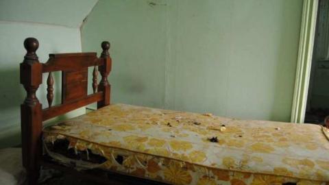 Sing us a Song - DSC_1402.jpg