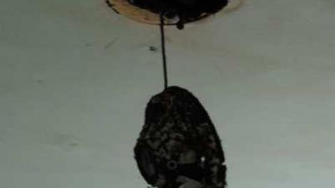 Sing us a Song - DSC_1432.jpg