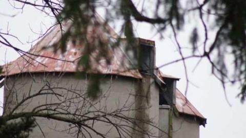 Stouffville Road and McCowan - Stouffville-Rd-and-McCowan-Farm20.jpg