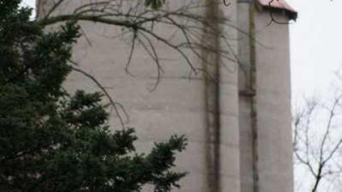 Stouffville Road and McCowan - Stouffville-Rd-and-McCowan-Farm21.jpg