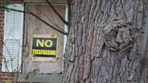 Stouffville Road and McCowan - Stouffville-Rd-and-McCowan-Farm22.jpg