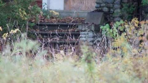 Stouffville Road and McCowan - Stouffville-Rd-and-McCowan-Farm27.jpg