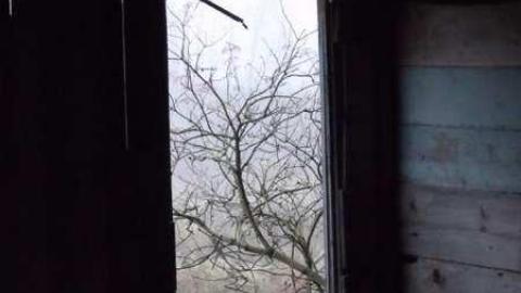 Found... Finally - DSCF1656.jpg