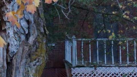 Photo from October 24th, 2012