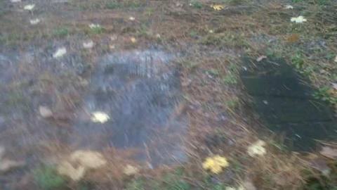 The Midhurst Pioneer Cemetary - The-Midhurst-Pioneer-Cemetery27.jpg