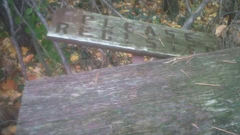 The Midhurst Pioneer Cemetary - The-Midhurst-Pioneer-Cemetery22.jpg