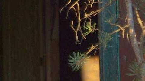 October 25th, 2012 - Vivian-House52.jpg