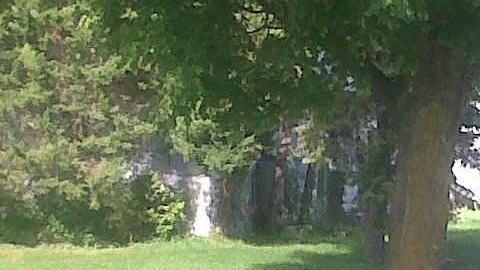 Baseline Road House photo 5