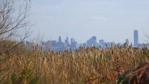 Erie Beach Park - Erie-Beach-Park20.jpg