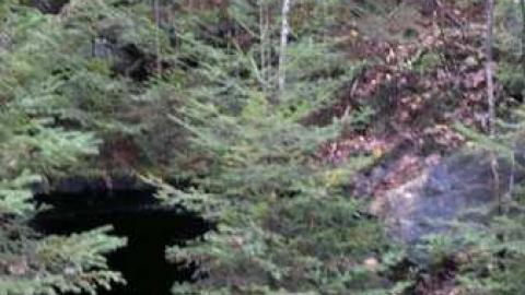 Photo from Google Earth view