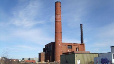 Concord Floral photo 3