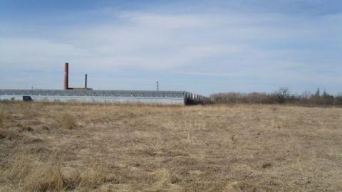 Concord Floral photo 4