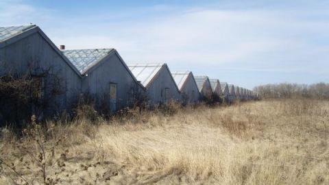 Gallery - Concord-Floral18.jpg