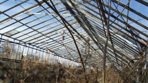 Gallery - Concord-Floral20.jpg