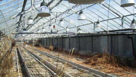 Concord Floral - Vaughan, Ontario