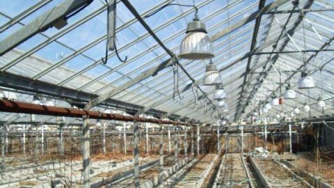 Gallery - Concord-Floral23.jpg