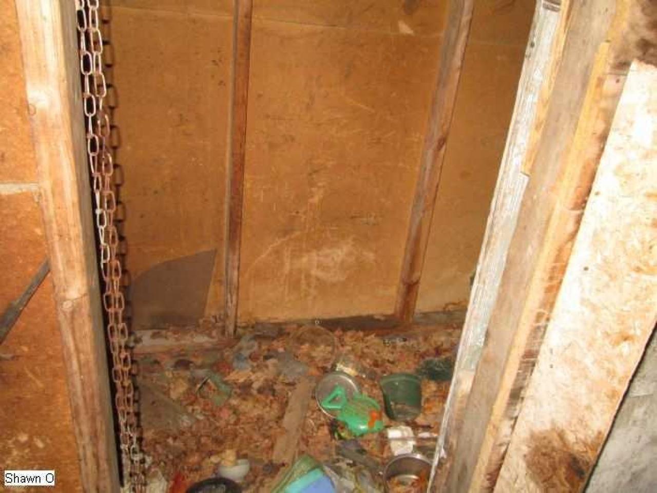 Dodgy - IMG_4079.jpg