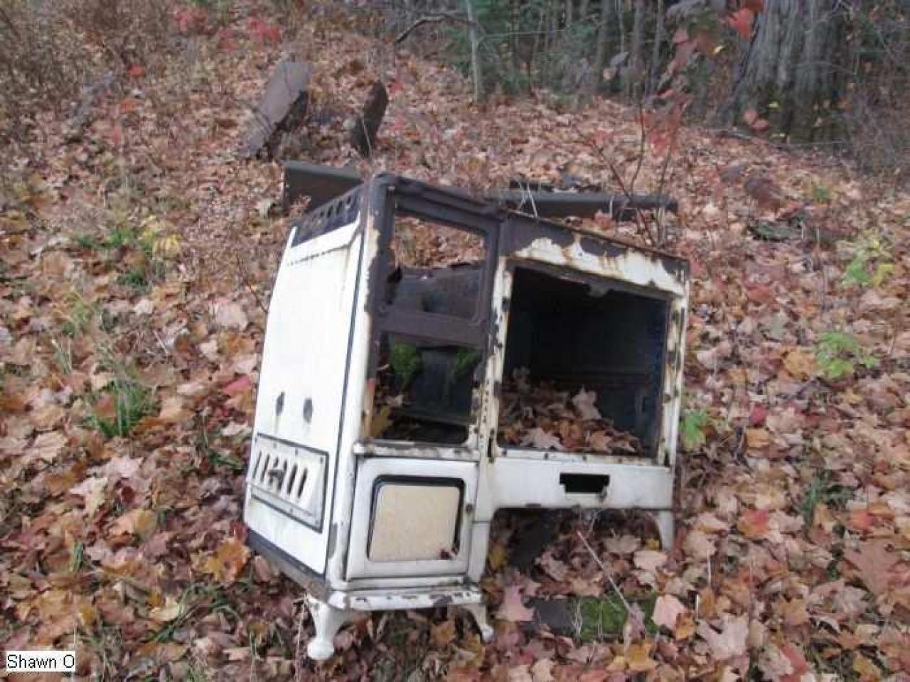 Dodgy - IMG_4080.jpg