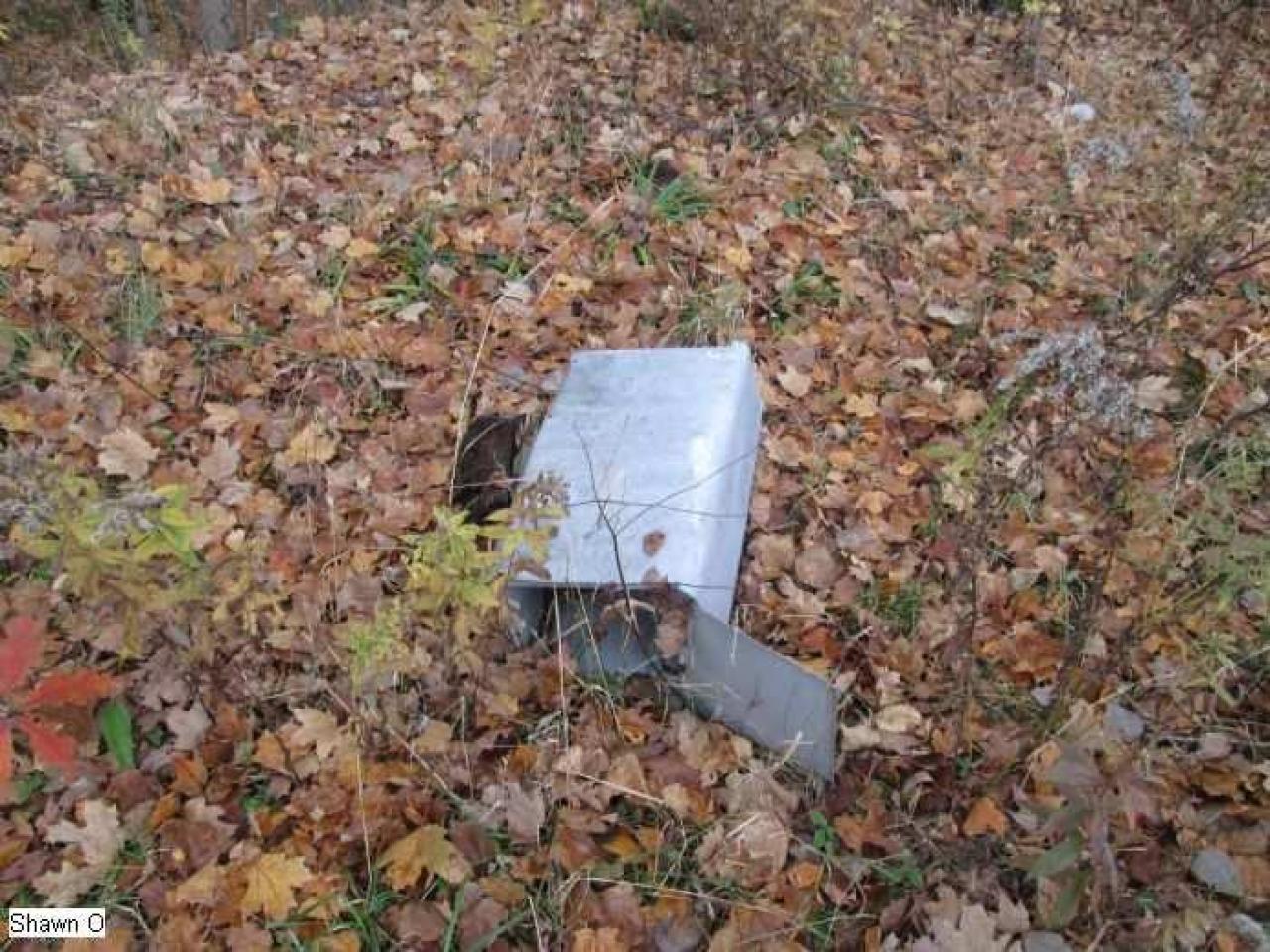 Dodgy - IMG_4081.jpg