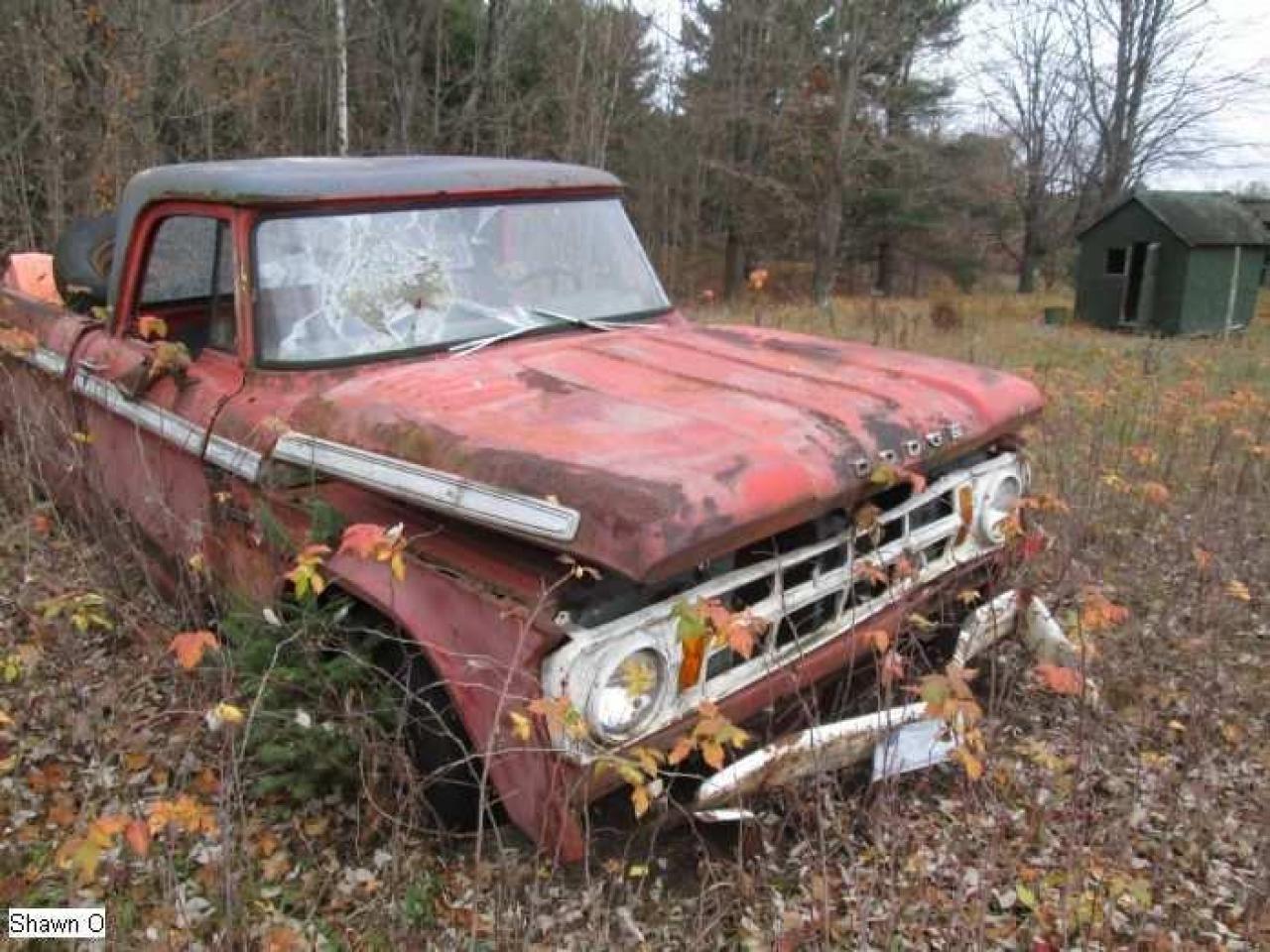 Dodgy - IMG_4083.jpg