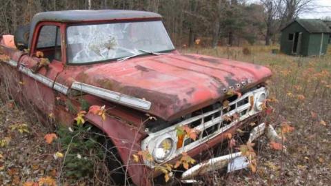 Dodgy - IMG_4083.jpg