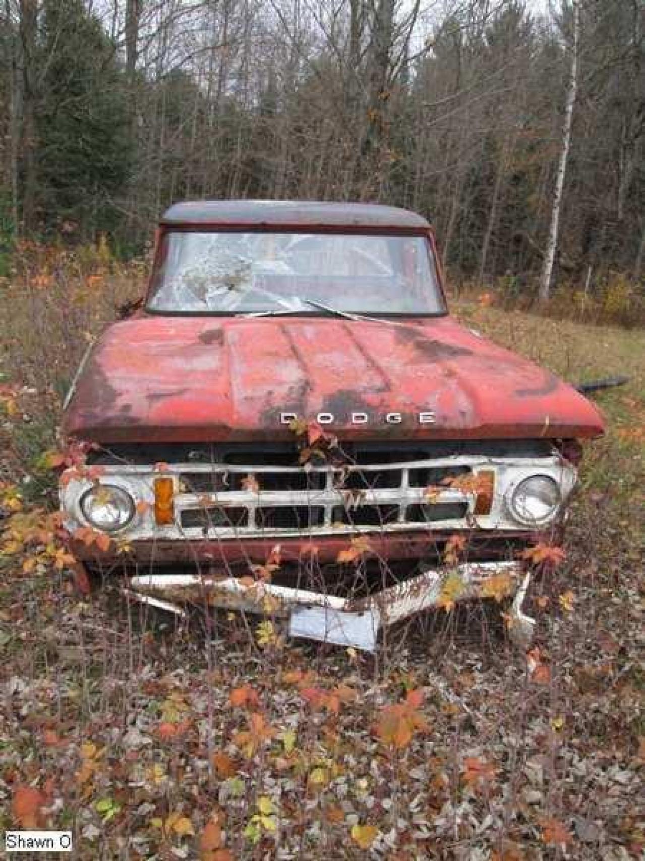 Dodgy - IMG_4084.jpg