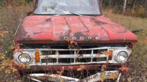 Dodgy - IMG_4084.jpg