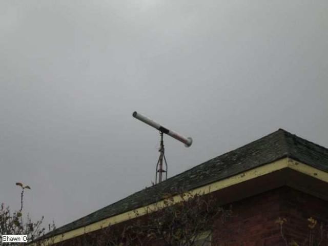 Dodgy - IMG_4086.jpg