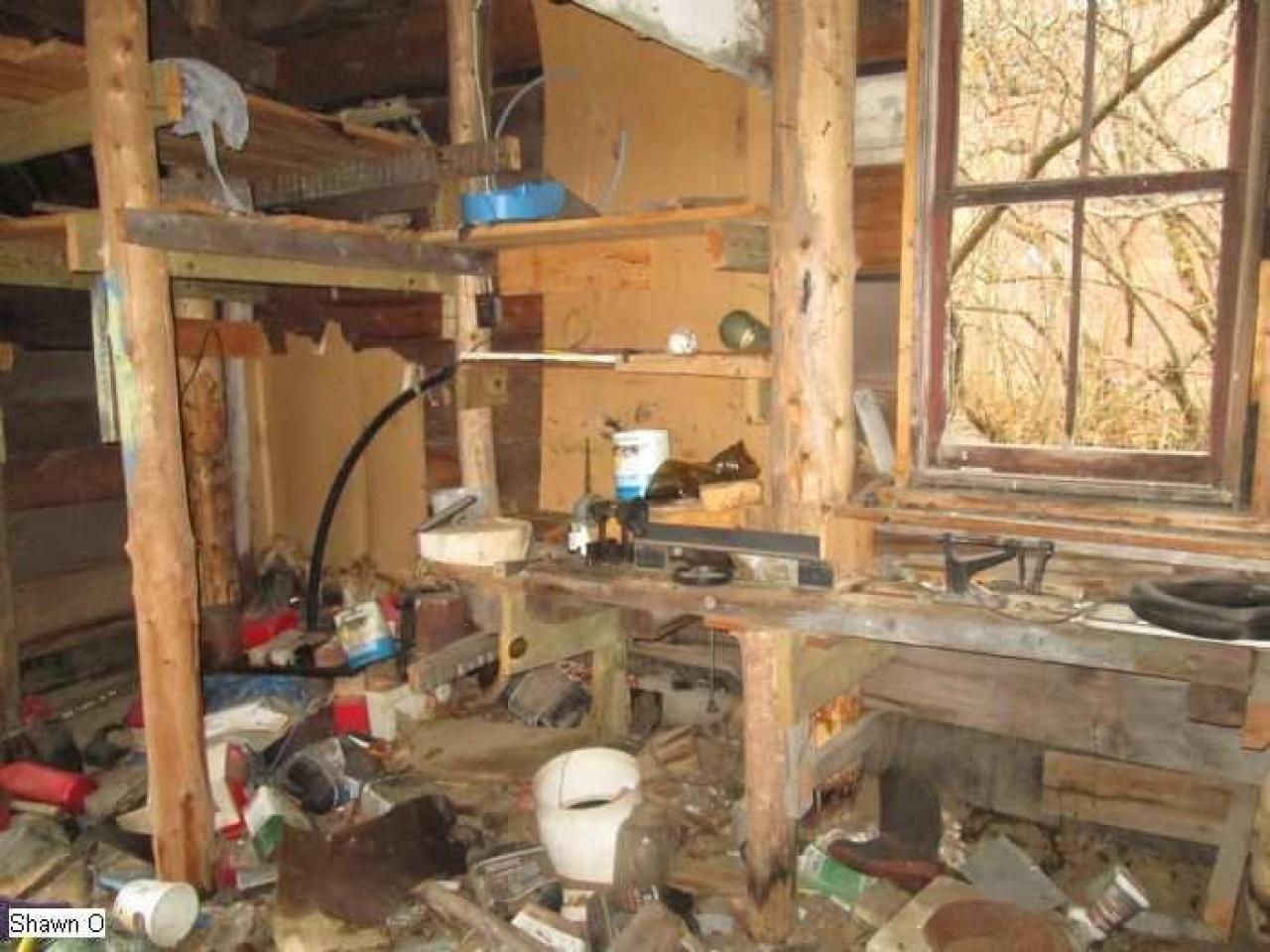 Dodgy - IMG_4050.jpg