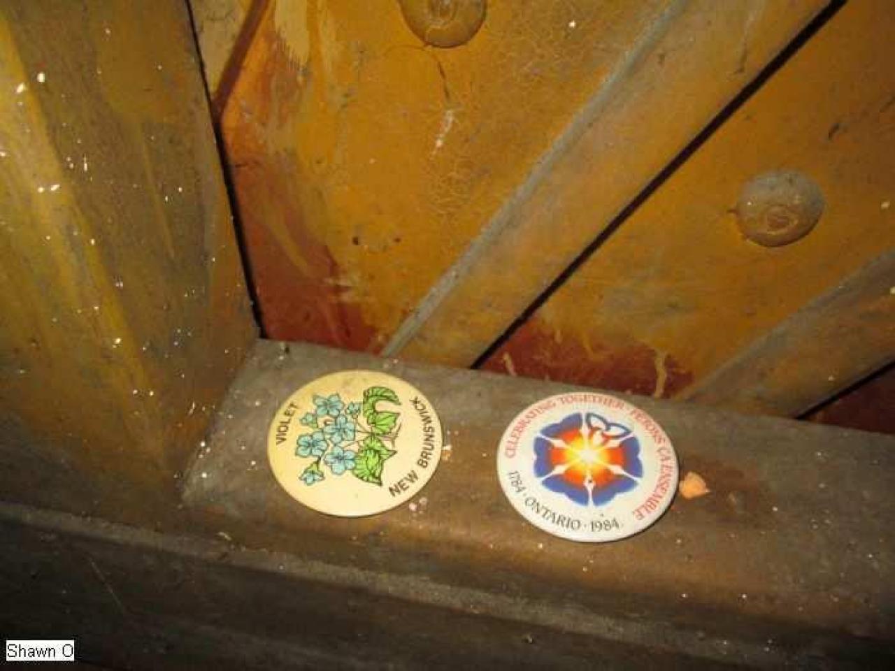 Dodgy - IMG_4065.jpg