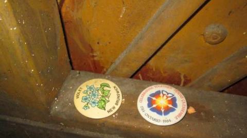 Dodgy - IMG_4065.jpg