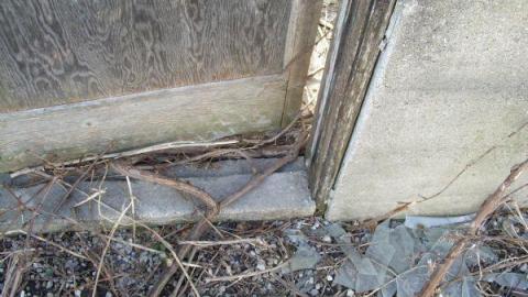 Gallery - Concord-Floral30.jpg