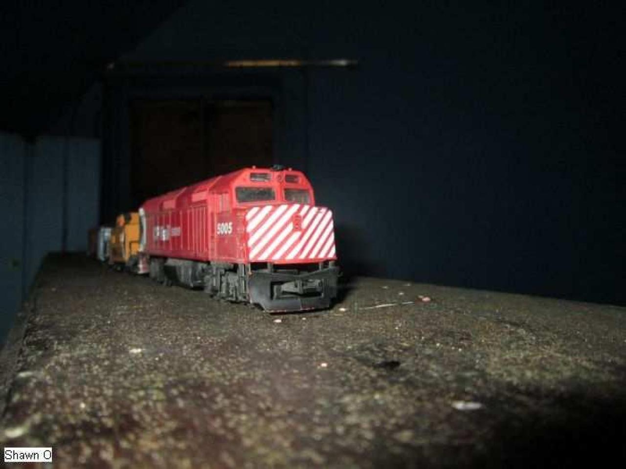 Dodgy - IMG_4066.jpg