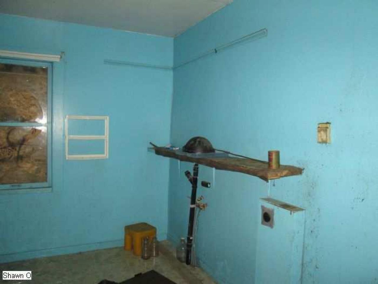 Dodgy - IMG_4067.jpg