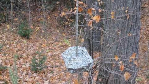 Dodgy - IMG_4076.jpg