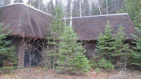 Photo from She's Still Alive