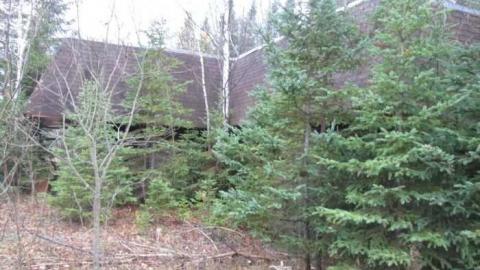 Photo from She's Still Alive