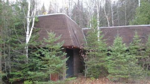 Photo from She's Still Alive