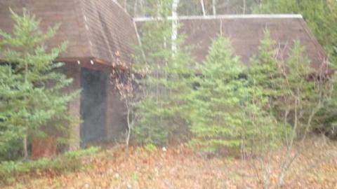 She's Still Alive - Burger-Place12.jpg