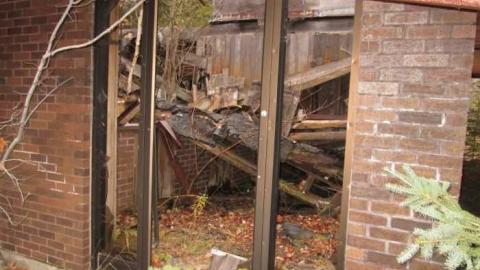 Photo from She's Still Alive