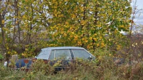 Oct. 2012 - DSC_0039.jpg