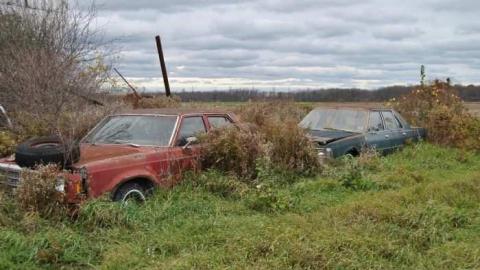 Oct. 2012 - DSC_0045.jpg